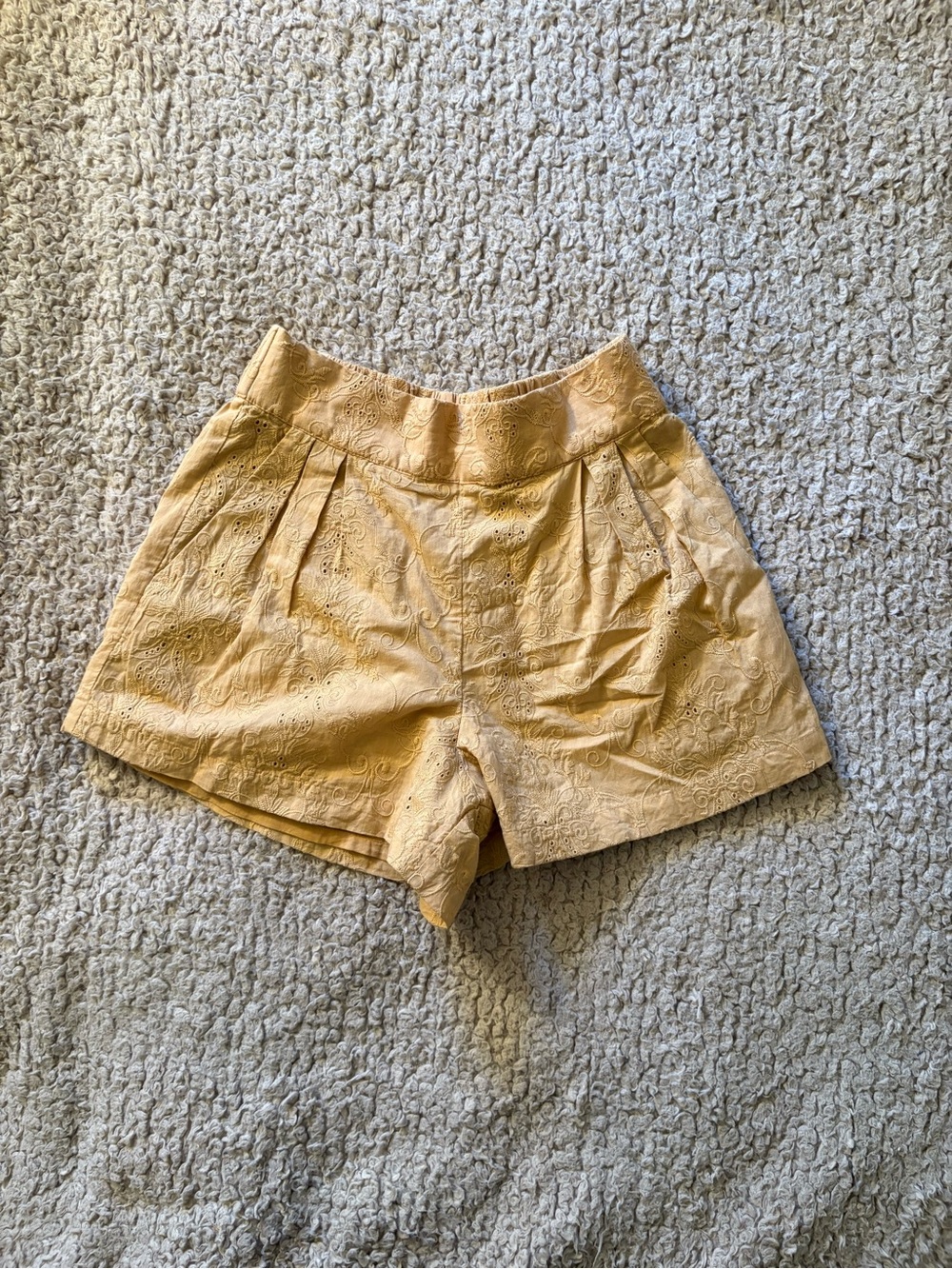 Amuse Society Eyelet Shorts